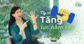 Làm Sao Tăng Lực Nắm Tay Để Sống Lâu Hơn?