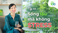 Tại Sao Stress Ảnh Hưởng Đến Tuổi Thọ? (Và 3 Cách Hỗ Trợ Bảo Vệ Tế Bào)